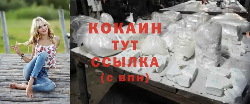 Cocaine FishScale  продажа наркотиков  Салаир 